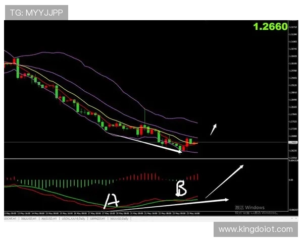 上海网球队防守策略分析及其对比赛结果的影响探讨