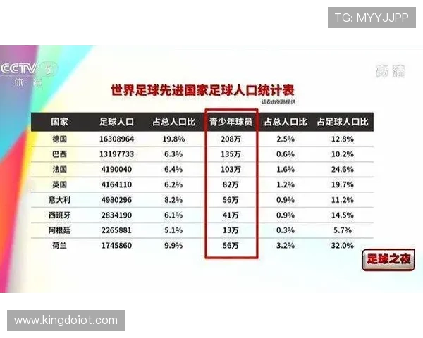 中国足球明星财富排行榜揭晓谁是最有钱的球员引发热议