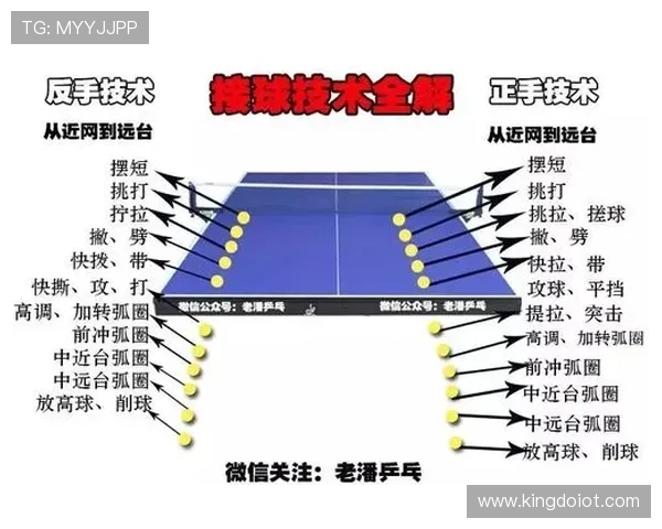 乒乓球新手必看攻略:轻松掌握基础技巧与配合入门方法 乒乓球新手必看攻略:轻松掌握基础技巧与配合入门方法