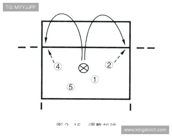 从零起步掌握排球战术全解析助你成为场上高手