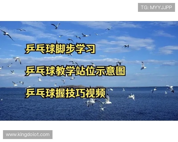 从零基础到高手之路乒乓球力量训练全解析与技巧分享
