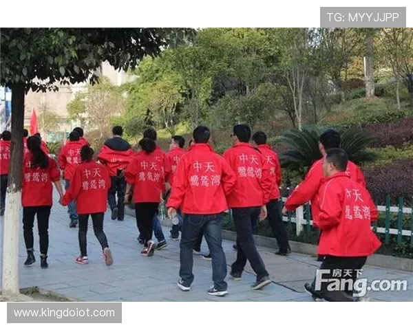 武汉乒乓球队的团队协作精神与成功之路探讨