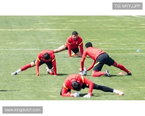 武汉羽毛球队在世界杯预选赛中的战术分析与表现评估